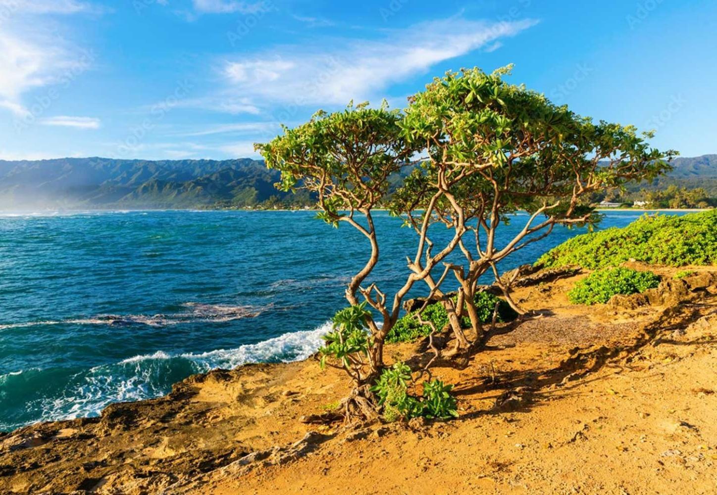 Naupaka Breeze Ocean View Ac 30 Day Stay Specials! Laie Екстер'єр фото